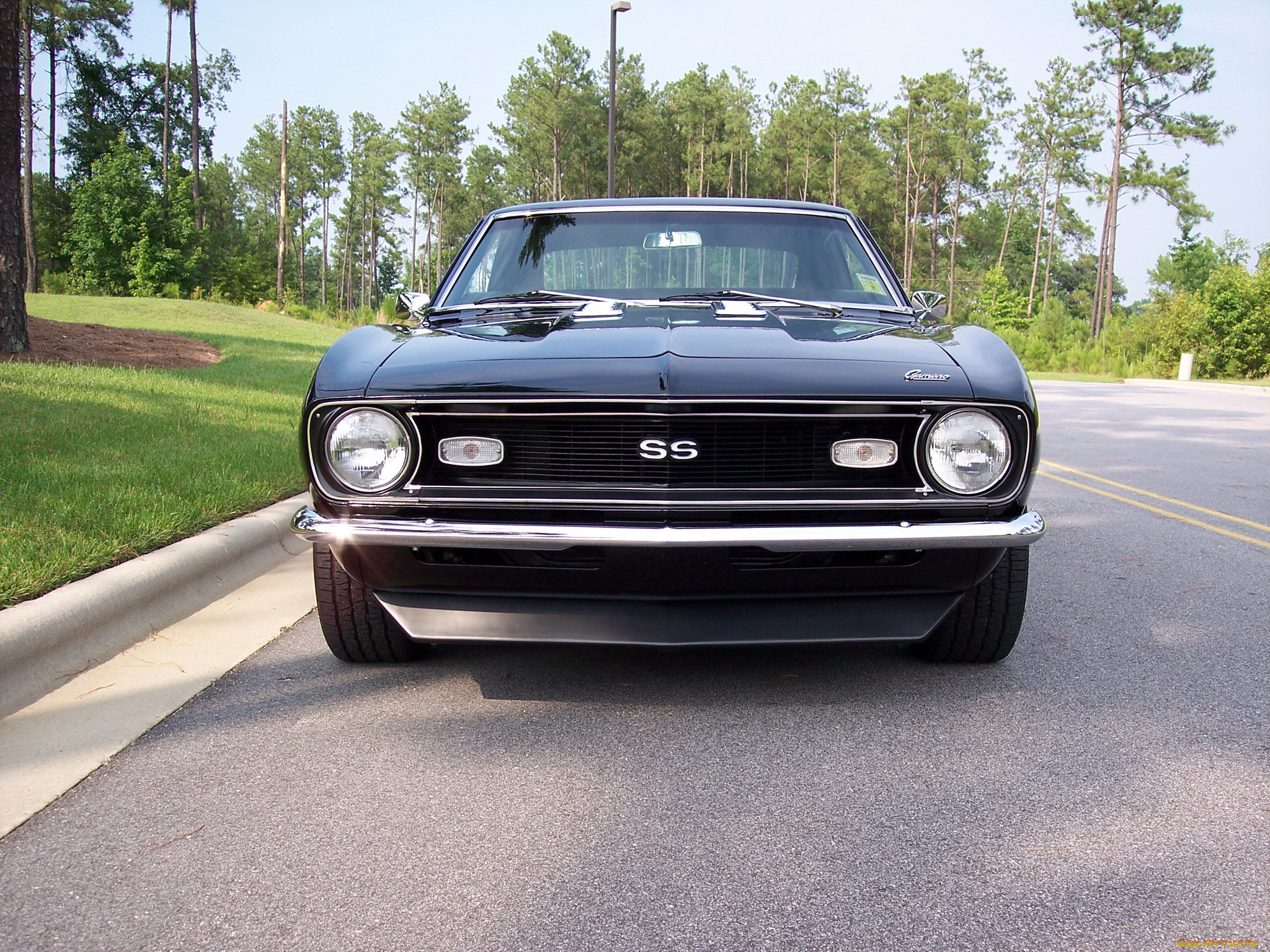 , camaro